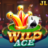 Wild Ace related 987 slot